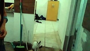 stella shows her big tits in the kitchen