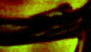 Love My Wife's Pussy