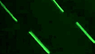 Delicious Jock Gets A Head In Bed Late At Night