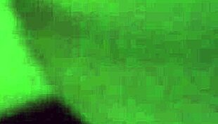 home-based local services