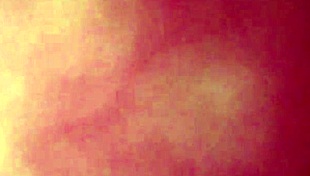 Love My Wife's Pussy