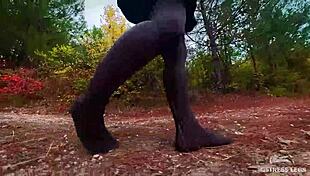 follow my footsteps in the evening forest