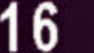 home-based local services