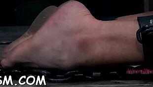 Delectable Maid Shows Attributes!