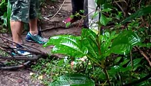 Studs feel intense pleasure in forest orgy