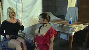 watch the lonely housewife getting a pet to play with