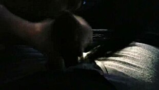 Hooker gives intense car blowjob