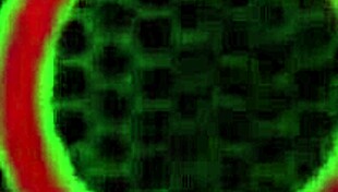 Sweet Vickie baisée en levrette par le baiseur de femmes mariées Rome Major