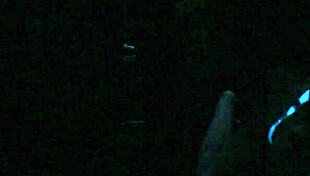 scarlett johnson blacklight teen banging.