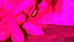 Lazycatdoll tries new lingerie for fingering 😘