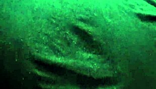 Easy anal with toys dildo masturbation assfucking