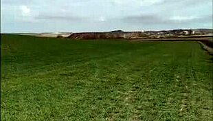 i masturbate in the field, touching my ass and pussy