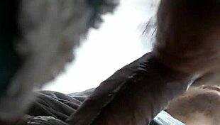 chubby latina gives blowjob to opponent