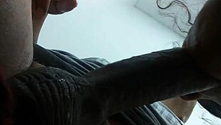 chubby latina gives blowjob to opponent