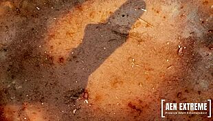 want to see helena g lucy belle and veronica sanchez in group action?