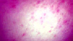 First Time Anal Bareback Experience!