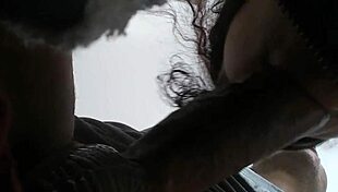 chubby latina gives blowjob to opponent