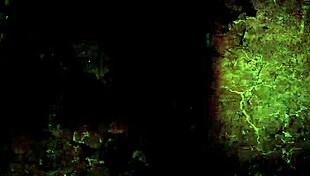 Story of Vintage Erotic Drawings