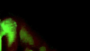 TERCERA PARTE DEL VIDEO DE YORGELIS KENT Y ERIKA SCHWARZENBERG