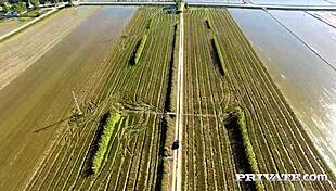 i watch this huge tits latina get fucked on the terrace and get a facial, oh man it's so hottt