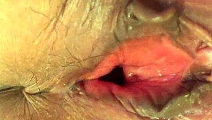 check out this viet homemade