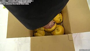 have you ever seen food crushed in this fetish way?