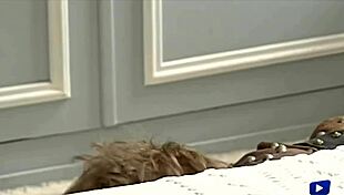 Katrine lille gets ass pounded by stranger