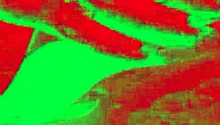 קרולטה רוטס - שוקולד וזה הזיון הטעים