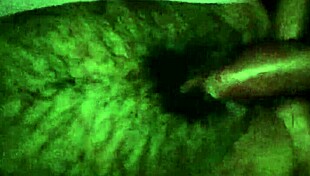 Roomie Me Despierta a Media Noche Para Cojer