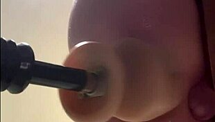 alikat2 and the oak chair