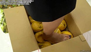 have you ever seen food crushed in this fetish way?