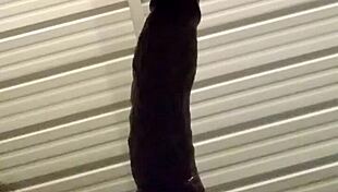 bbc shemale assgasm!