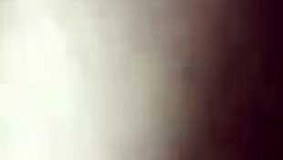 blowjob in casual narrative with sucking and oral