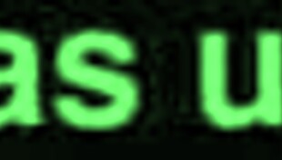 are you a shady slut?