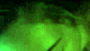 brunette amateur gives blowjob and gets cumshot 😏