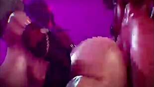 i party with futanari till we die