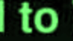 are you a shady slut?