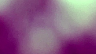 are you a shady slut?