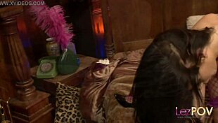 Black hair babe and lesbian brunette about to fuck like crazy