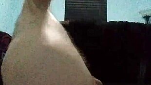 I Fuck My Ass With A Cucumber