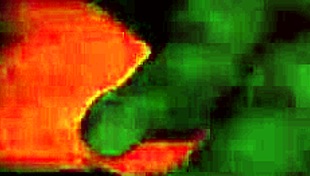 Wife Sitting Deliciously