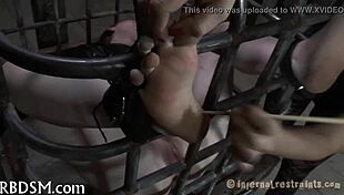 Sadomasochism Whipping Tube Videos