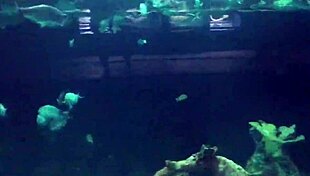 Gina gerson seeks naughty fun in mexico