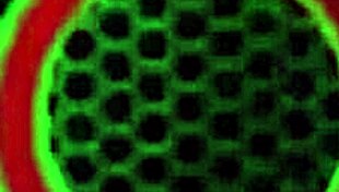 I-I sucked Vicky Vette's big cock, then she rode me hard