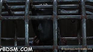 Does this bizarre bdsm excite you, playgirl?