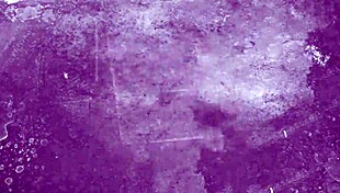 Vintage Rare Bisexual Porn from Antique Era