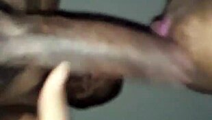 jamaican neighbor wanted to suck my bbc oral riding sucking monster cock homemade black blowjob