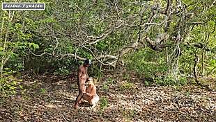 Taking Advantage of My Humility Just to Help Me Out