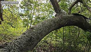 Taking Advantage of My Humility Just to Help Me Out