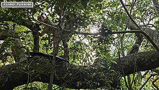 Taking Advantage of My Humility Just to Help Me Out